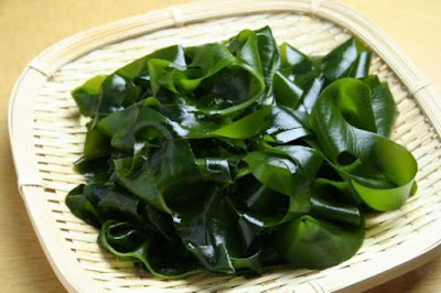 Rong Biển : Rong Biển Là Gì?
