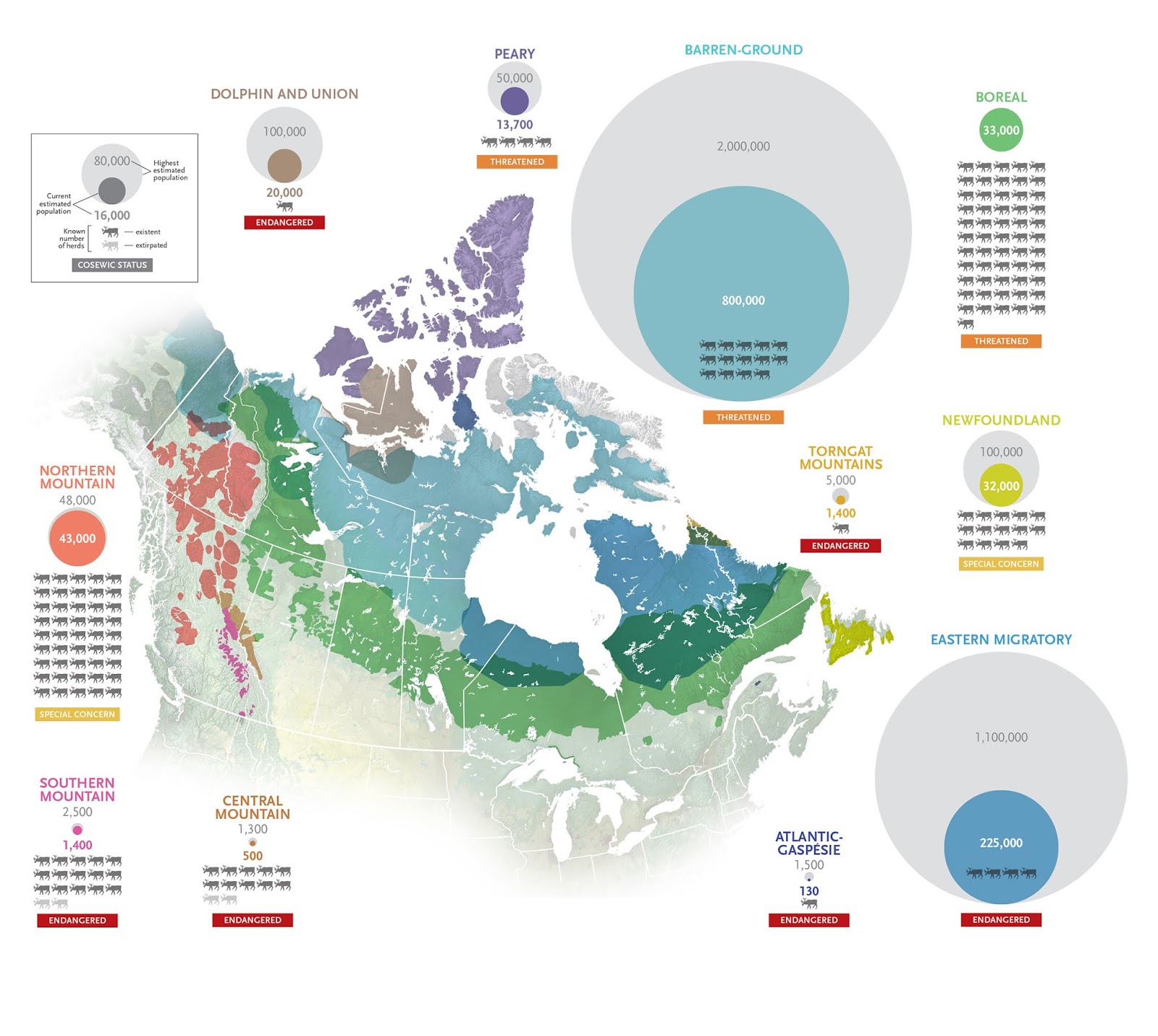 Canada's Declining Caribou Population