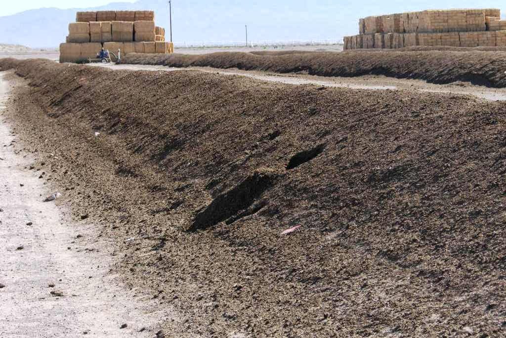 Xtremehorticulture of the Desert Winter is the Best Time to Shop for Compost