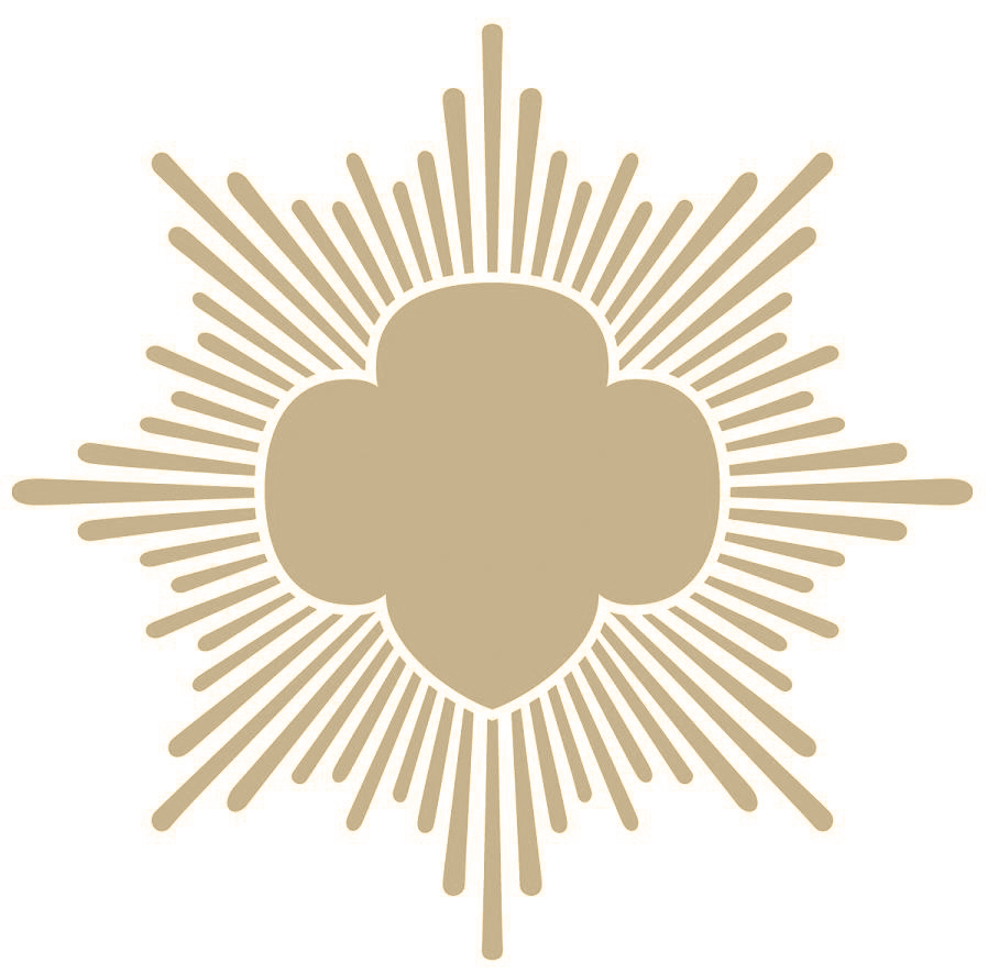 Girl Scouts of NorthCentral Alabama Troop 268 Earns Bronze Award