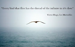 flying bird quotes funny quotesgram