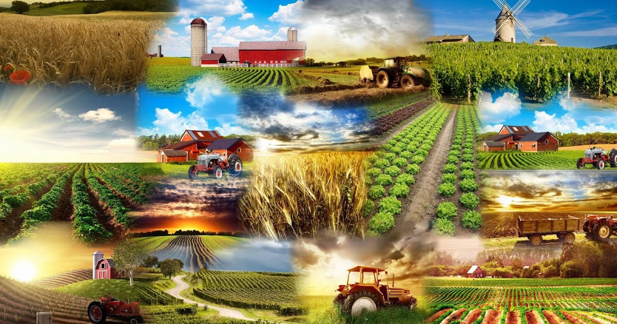 Agriculture & Man: Introduction