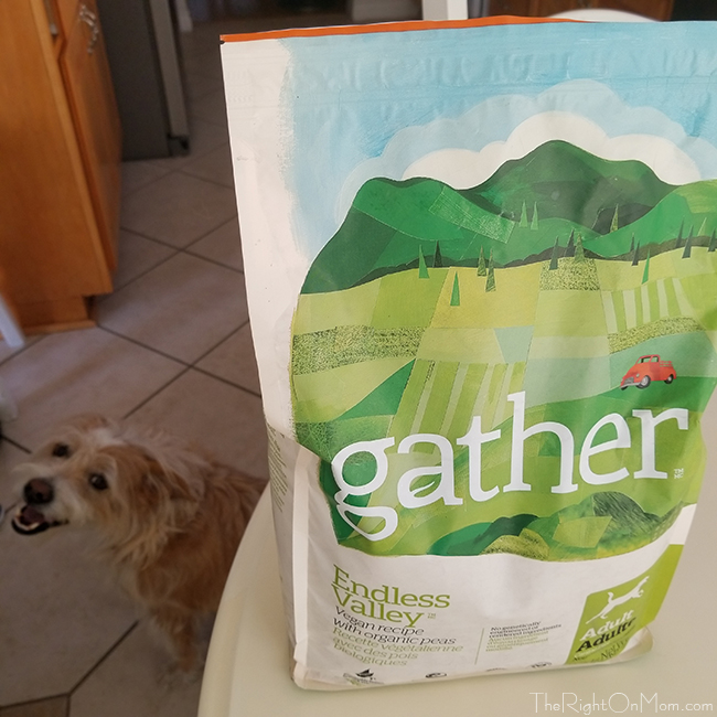 petcurean review