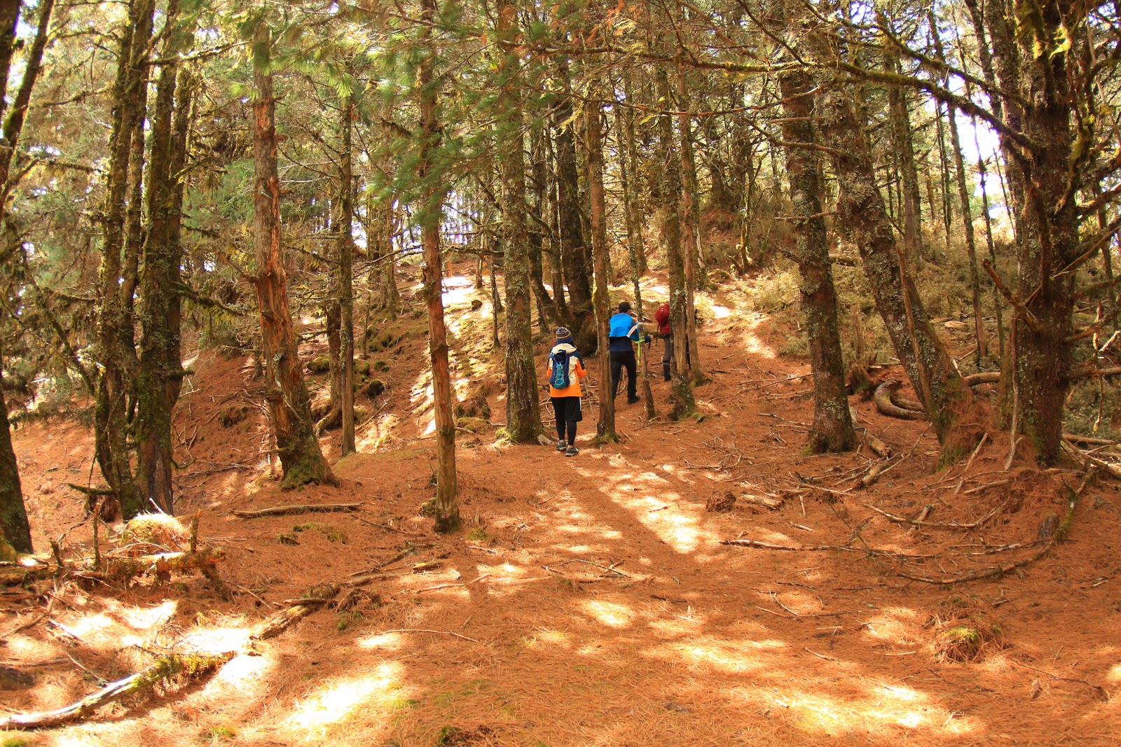 布拉克桑山前的最低鞍部