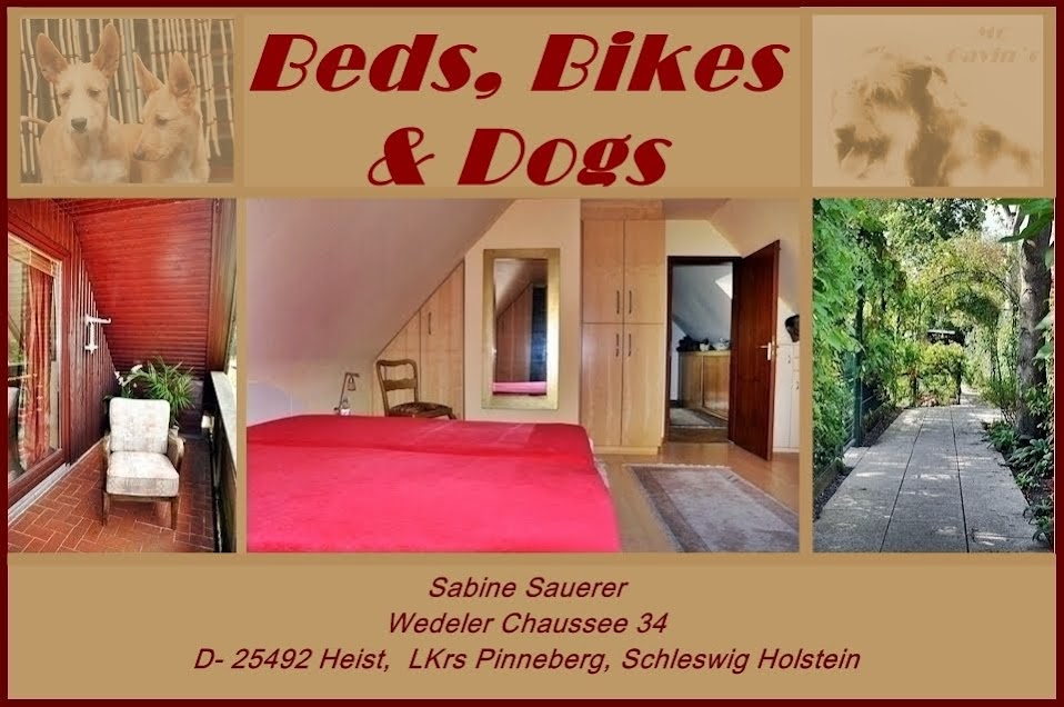 Beds, Bikes and Dogs - Sabine Sauerer