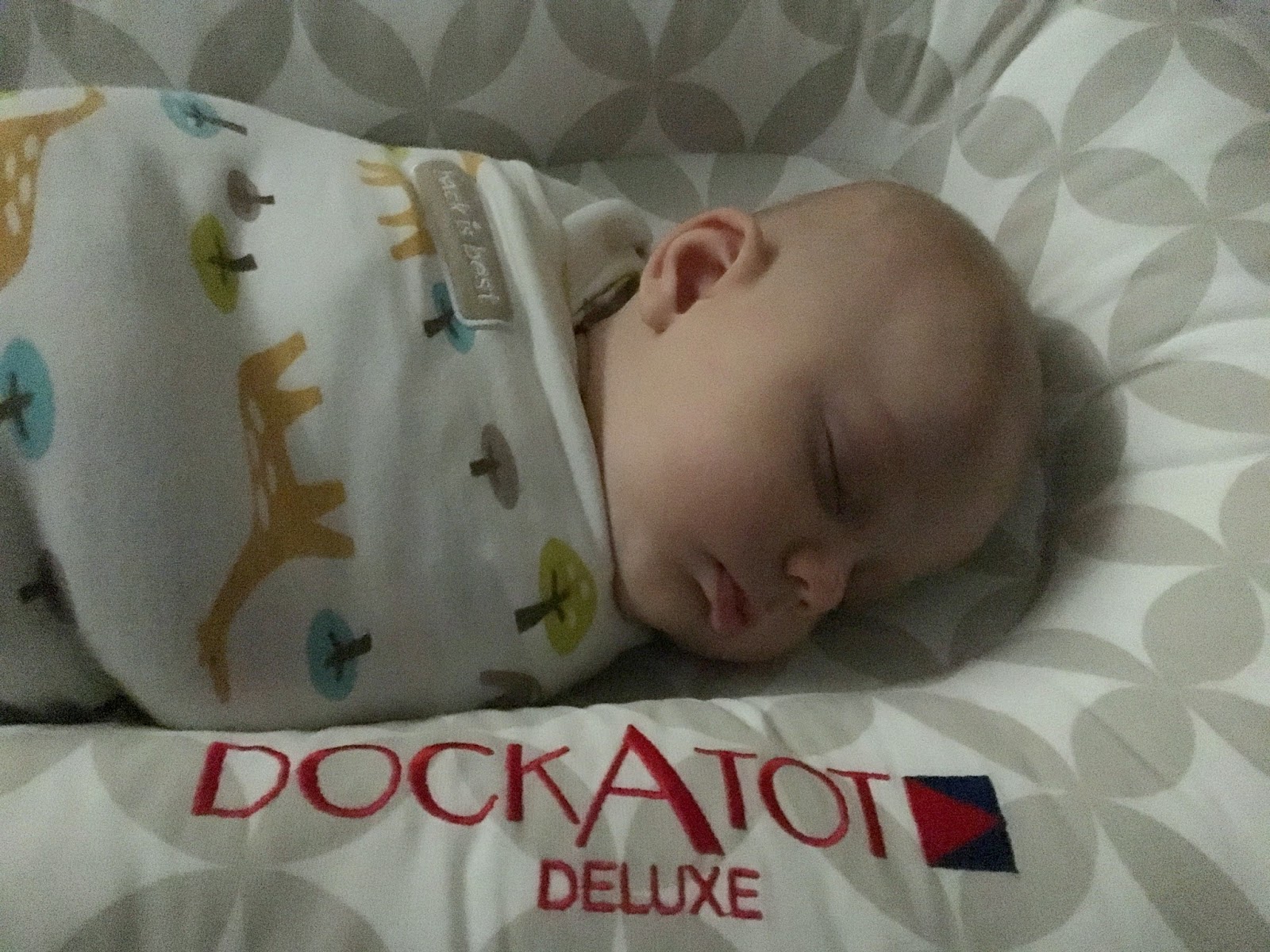 The Brooksie Life Dockatot Review