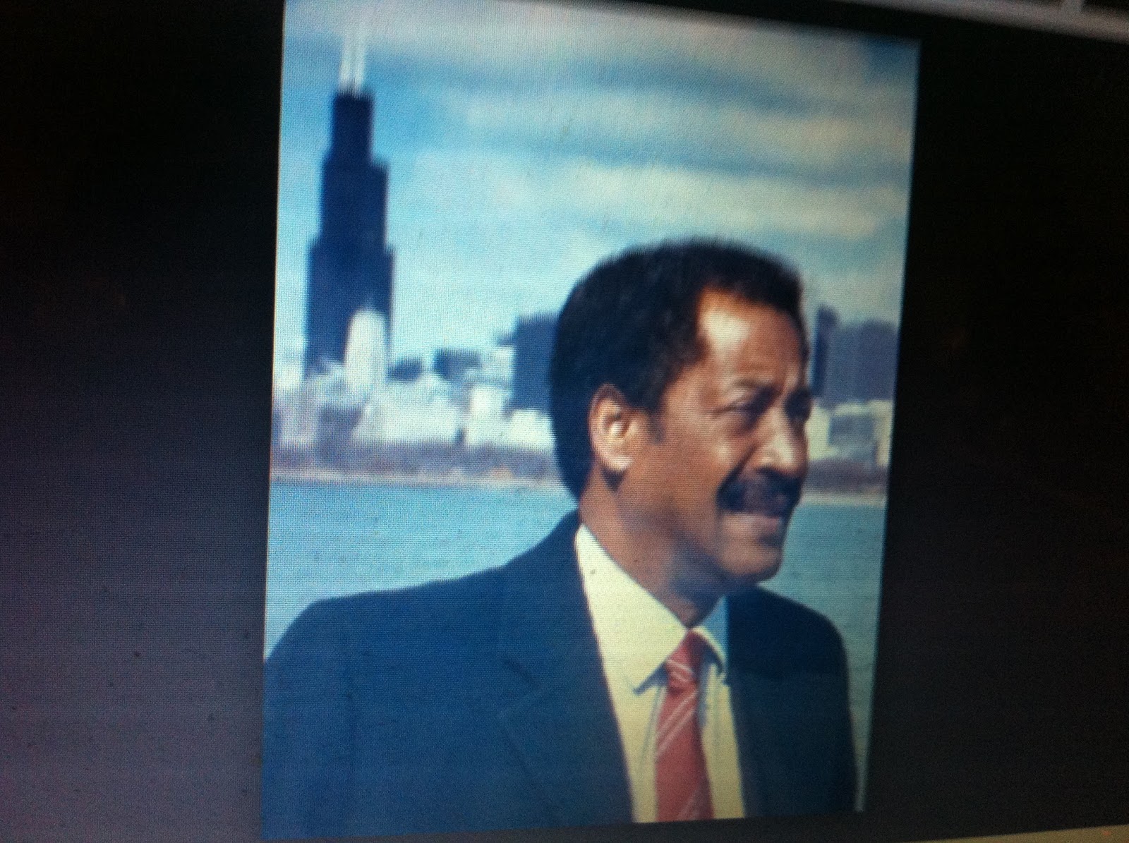 THE BLACK SOCIAL HISTORY BLACK SOCIAL HISTORY AFRICAN AMERICAN