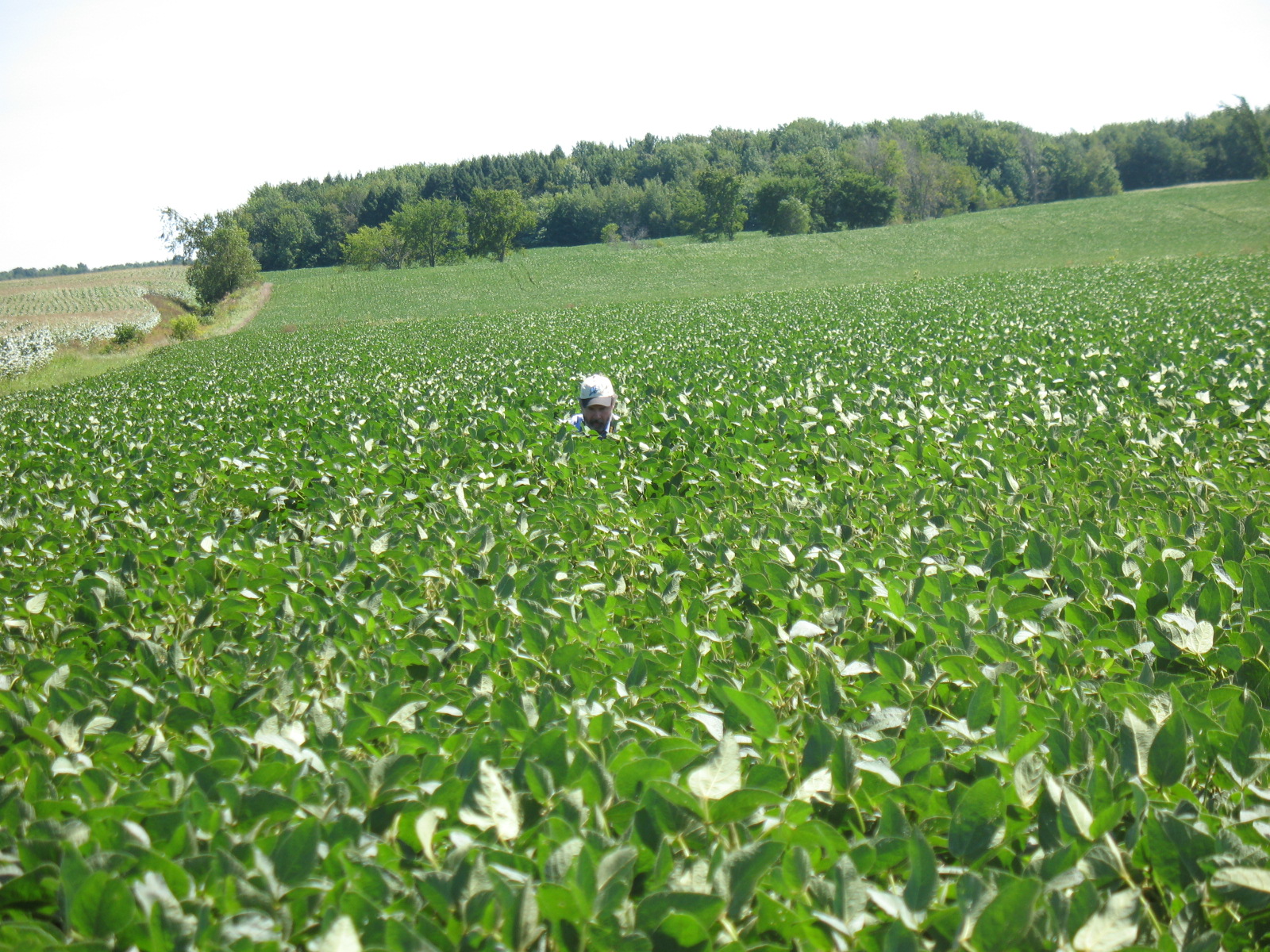 La cuisine en fête de Sakya
