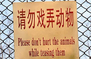 engrish funny sign don't hurt animals