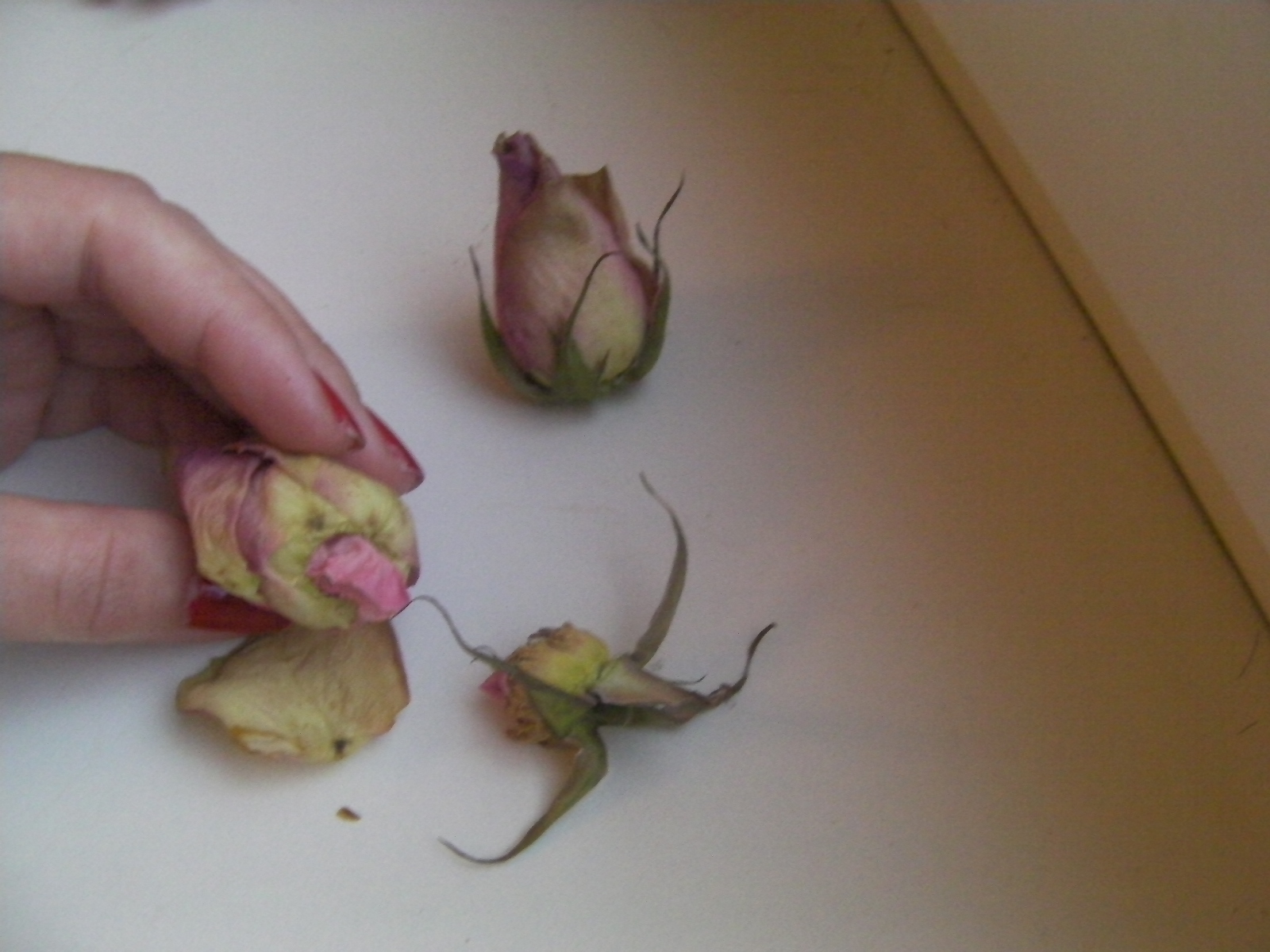 roses marmelade
