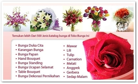 Tahun 2016 Bagi Toko Bunga Cantik Toko Bunga Florist Jakarta Toko Bunga Online Florist Di Jakarta Toko Bunga 24 Jam