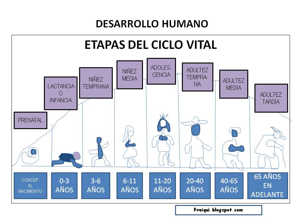 Etapas O Edades Del Desarrollo Humano Ii Mind Map | Porn Sex Picture