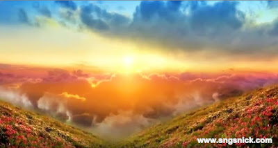 oCam 370.0 Portable - 