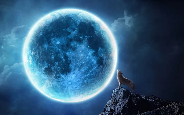 Foto van een huilende wolf bij volle maan