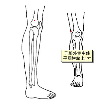 關儀穴位 | 關儀穴痛位置 - 穴道按摩經絡圖解 | Source:zhongyibaike.com 關儀穴位 | 關儀穴痛位置 - 穴道按摩經絡圖解 | Source:zhongyibaike.com