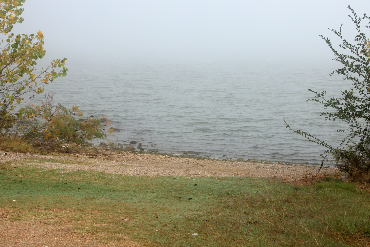 Log of Ibi Lake Ellsworth, OK