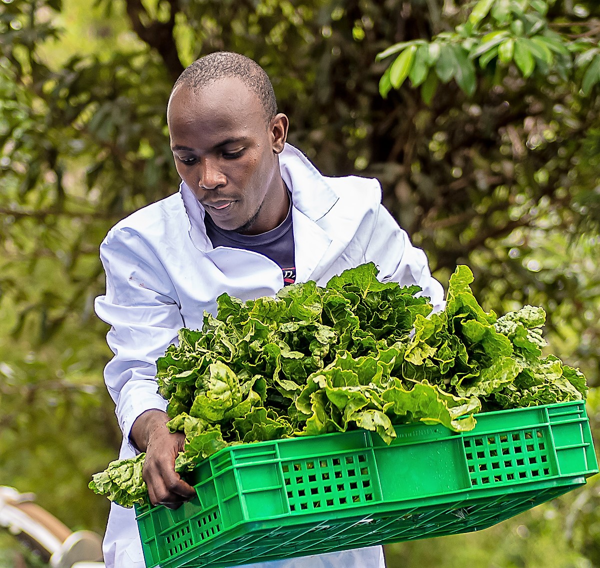 Youth farmers picture