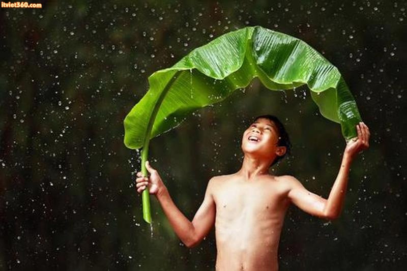 Chùm hình ảnh đẹp   nghệ thuật về "tuổi thơ tôi", tắm mưa