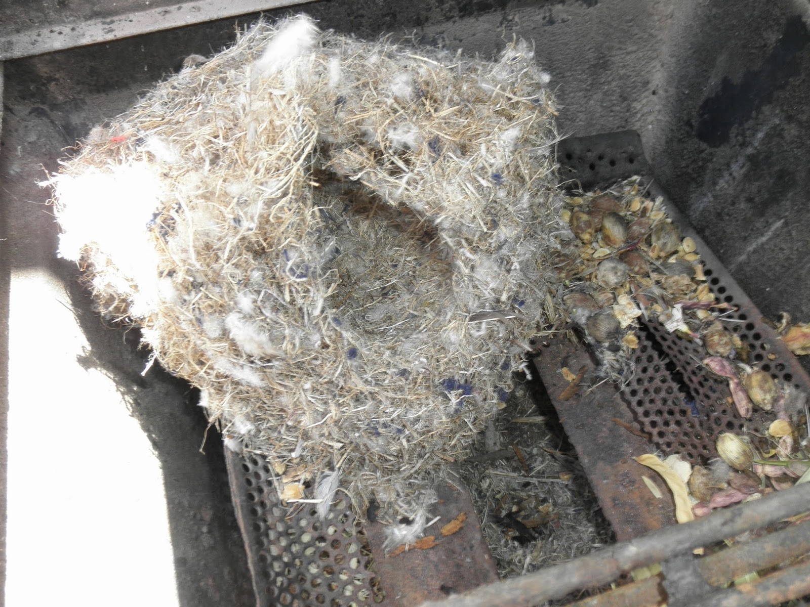 Mr. Pack Rat Cool Nest BBQ