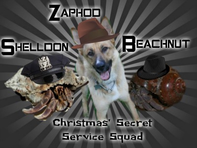 Don't mess with these guys