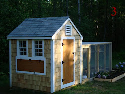 coop chicken coops plans chickens diy backyard designs shed into conversion building winter adorable coup been convert way play completely
