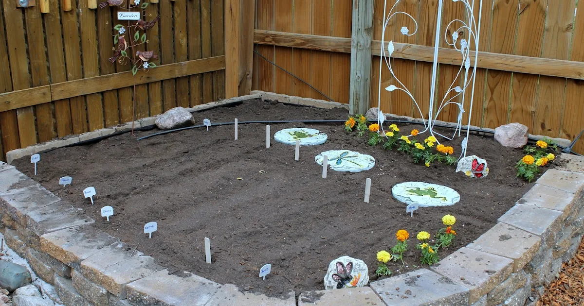 Raised Bed Gardening: Location & Size Secrets Revealed!