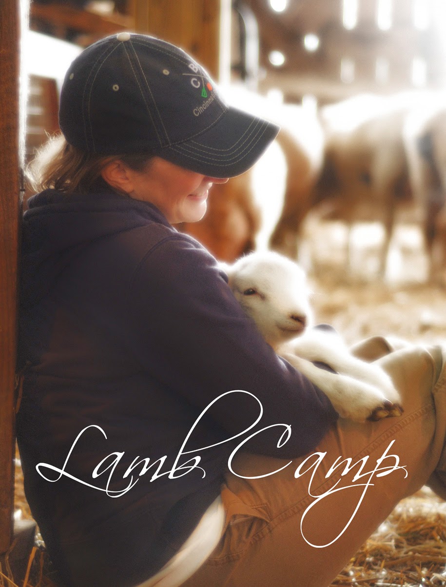 Lamb Camp