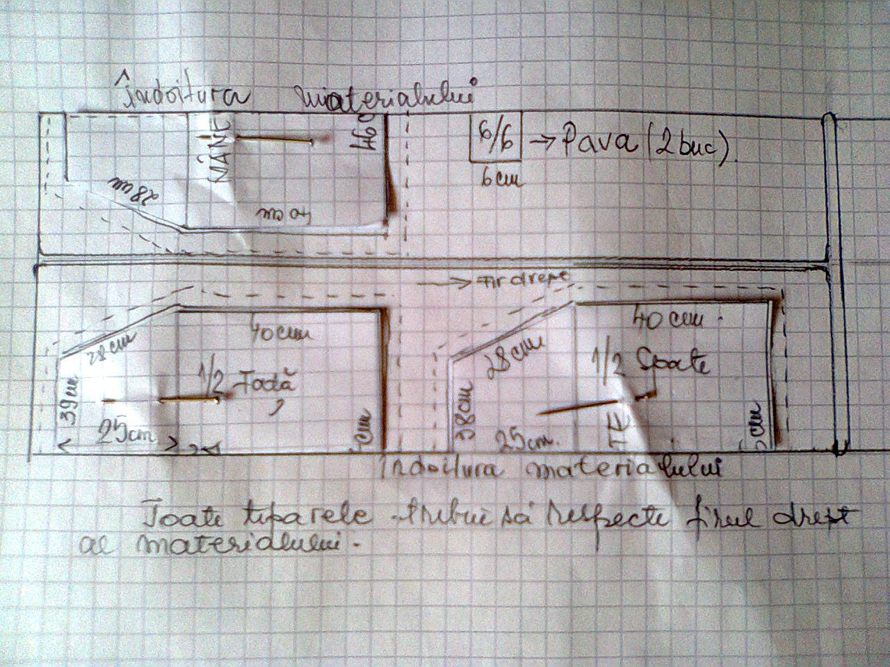 5 Cum In Pussy Porn Videos Pornhubcom