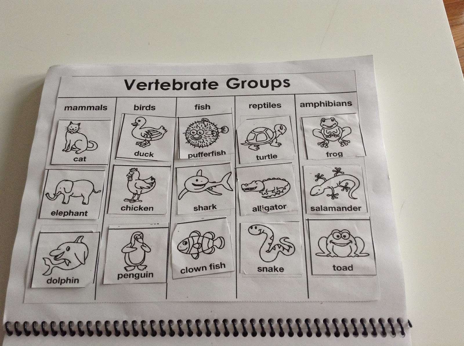 TeacherMomPlus3: Vertebrates and Invertebrates Unit Study