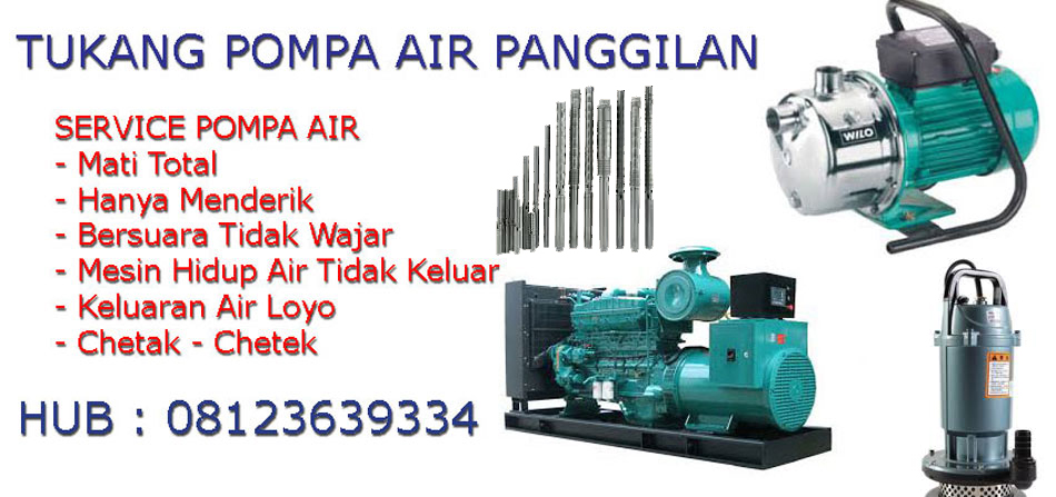 Tukang Service Pompa Air di Denpasar Bali-081-33805-9181: Pompa Piston