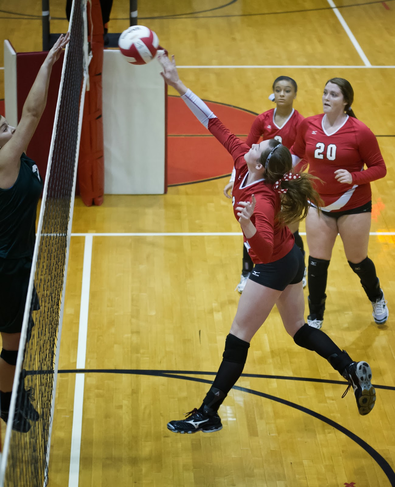 ELKMONT ALABAMA DECATUR DAILY ALL AREA VOLLEYBALL TEAM