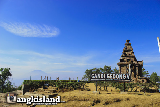 josh candi gedong limo