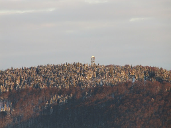 Szczyt Wielkiej Czantorii (czes. Velká Čantoryje, niem. Großer Czantory-Berg, 995 m n.p.m.)