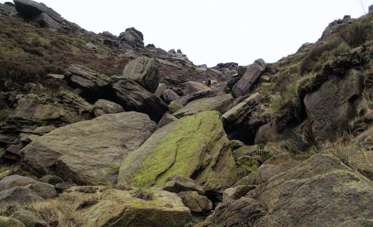 Tracks Wilderness Gully West, a scramble with fun thrown in.