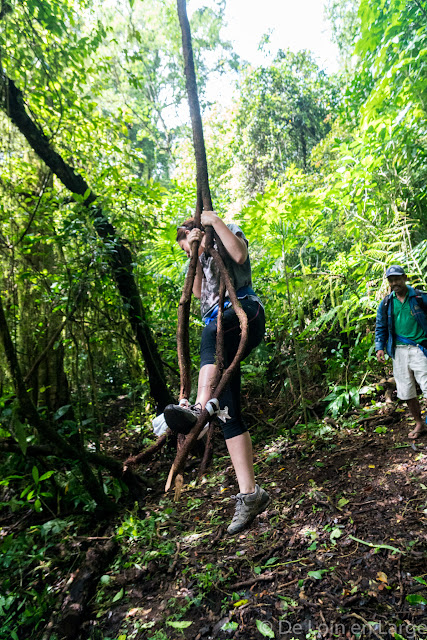 Trek du Lac Tamblingan - Bali