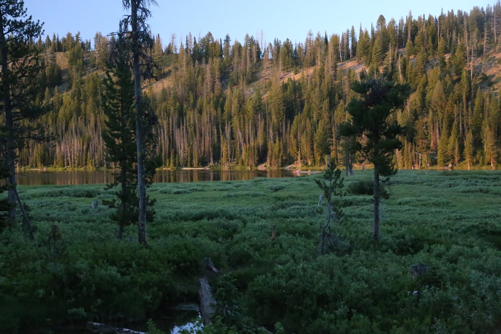 our travel journal Bull Trout Lake, Idaho