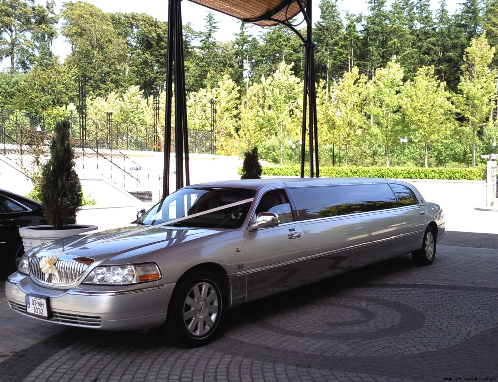Dublin Ireland The Limousine