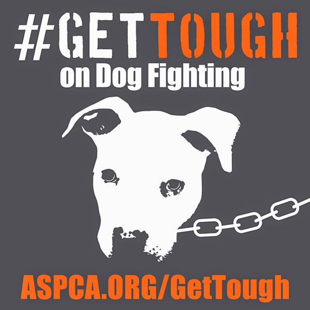 #Get Tough on Dog Fighting!