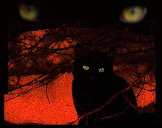 gato-falso-traicionero-mito