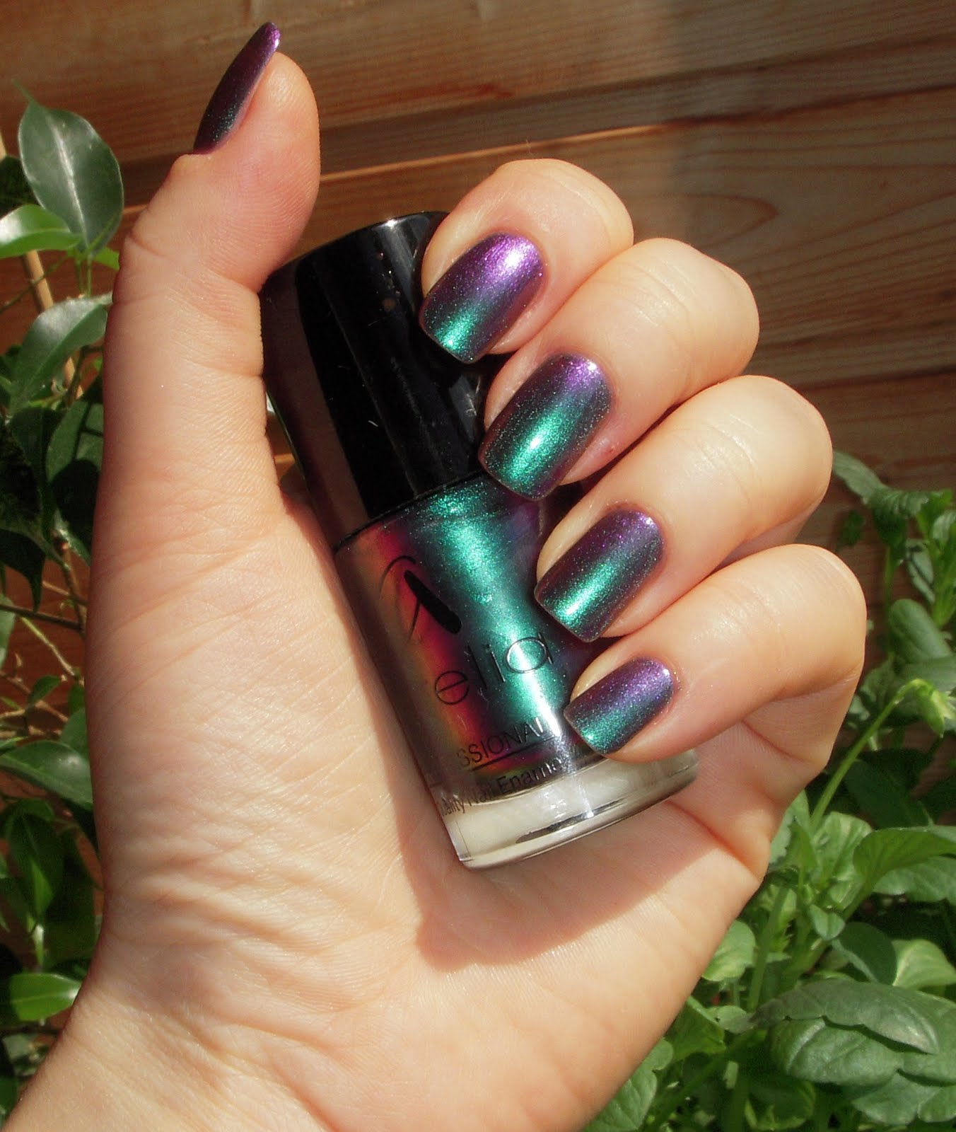Маникюрный лак хамелеон stardust 209. Цвет лака для ногтей хамелеон. Хамелеон втирка изумруд. Лак хамелеон. Маникюр с лаком хамелеон.