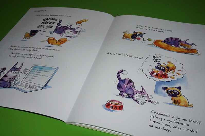 Komiks żyć Jak Pies Z Kotem Historyjka Obrazkowa Żyć jak pies z kotem | Kreatywnie w domu