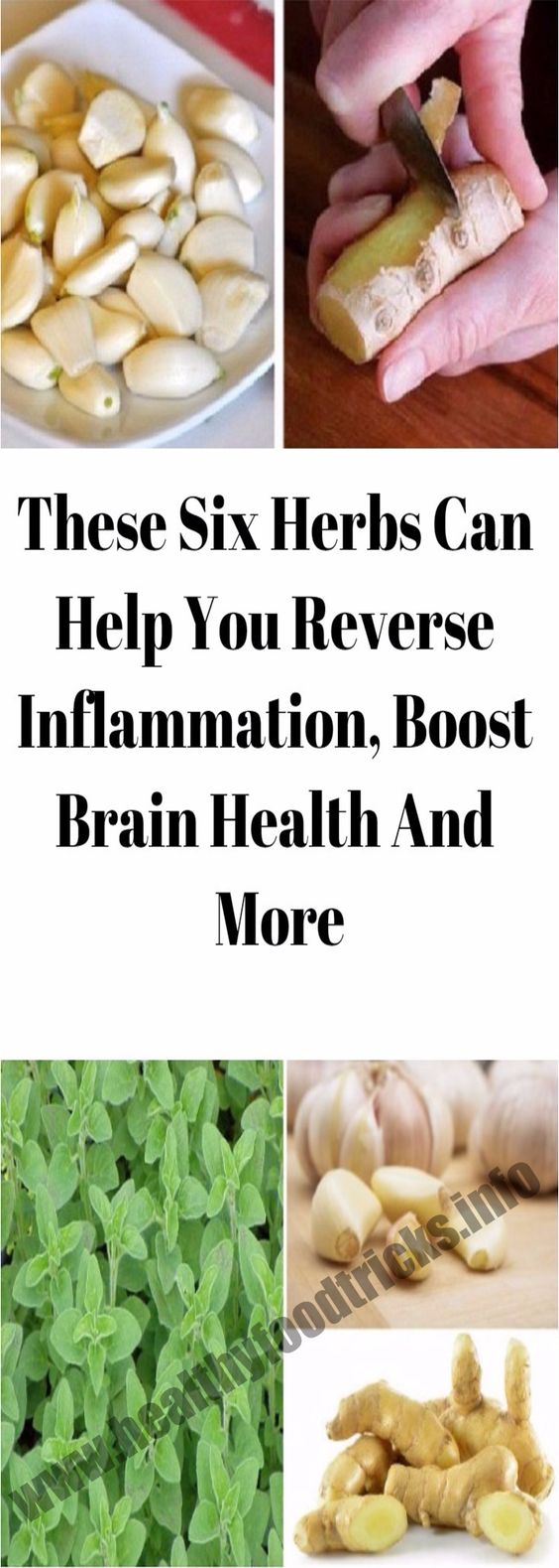 THESE SIX HERBS CAN HELP YOU REVERSE INFLAMMATION, BOOST BRAIN HEALTH