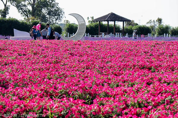 台中后里|中社花市|2019百合花和數十種花海美翻天|婚紗外拍熱門景點 台中后里|中社花市|2019百合花和數十種花海美翻天|婚紗外拍熱門景點