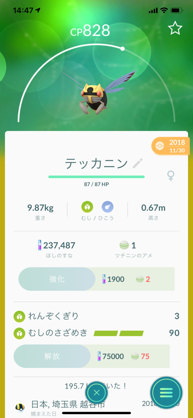 メシアブログ ポケモンgo テッカニン