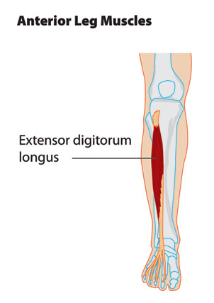 One Hike At A Time: Down for a few days!! Extensor Tendinitis... Ouch!!