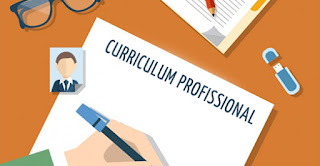 curriculum profesional