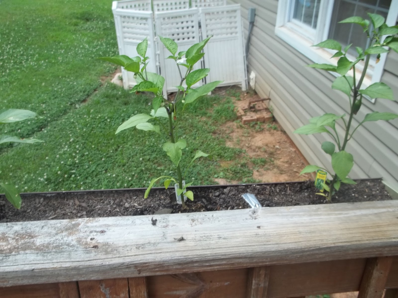 "Pinned it" - Did It Gutter Garden