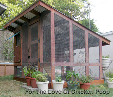 For The Love Of Chicken Poop: Planning And Building The Chicken Coop
