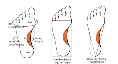 How Much Is Different Between Medium And Wide Shoes How Much Is Different Between Medium And Wide Shoes
