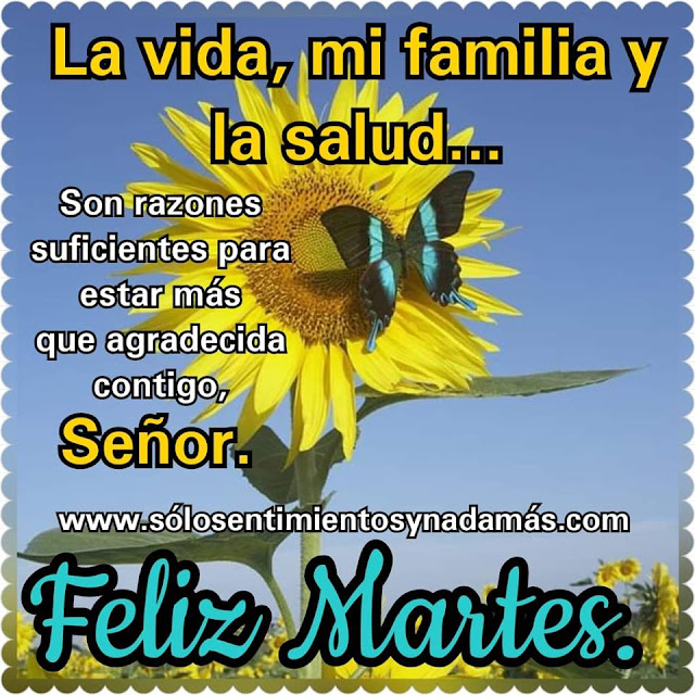 Feliz martes.